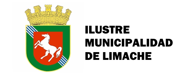 SERVICIO DE TRANSPORTE PERSONAL PRECENSO Municipalidad de Limache